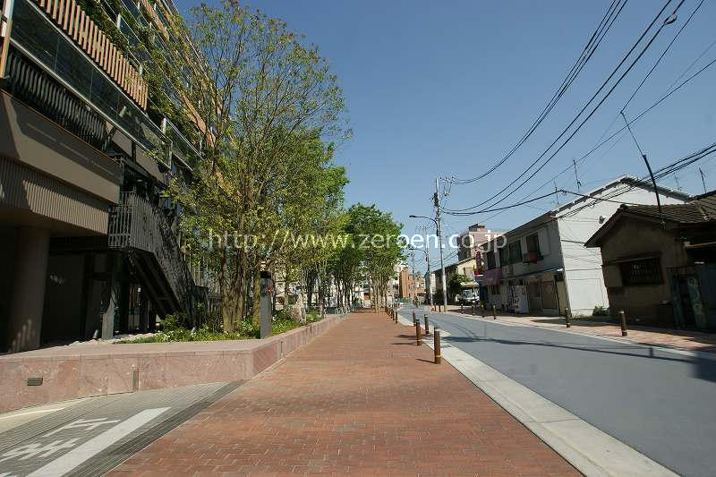 周辺道路