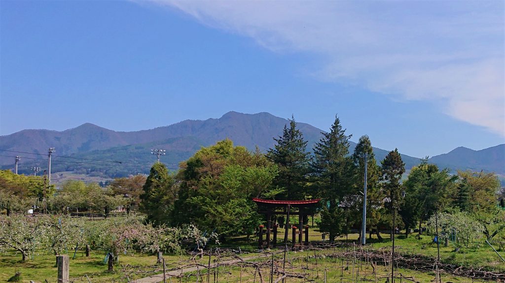 田舎ののどかな風景 やっぱり自然はいい 畑に咲く花は何の花